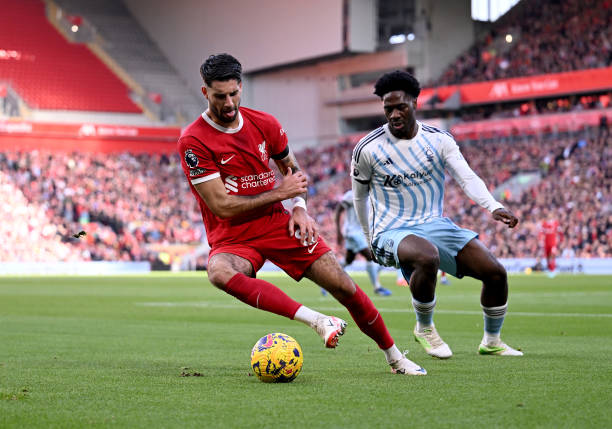 不仅展示了 不仅展示了